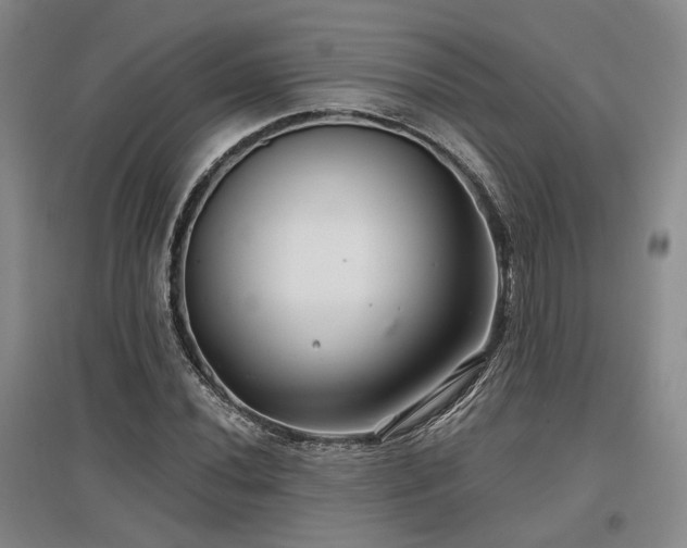 X0000097471020200802221231
