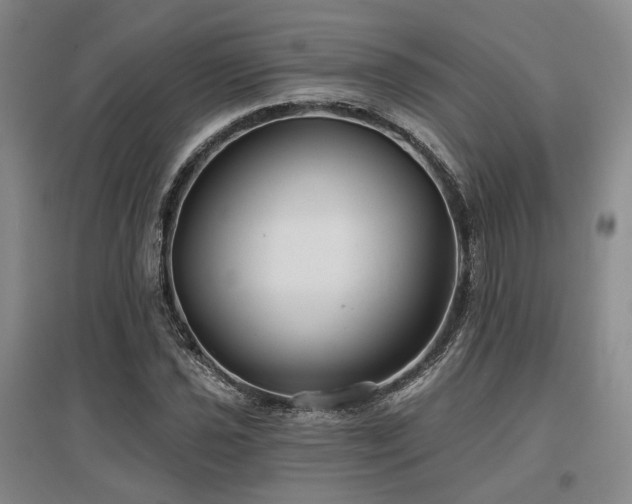 X0000097471021200802221231