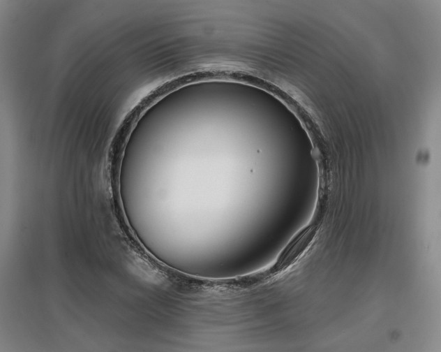 X0000097471022200802221231