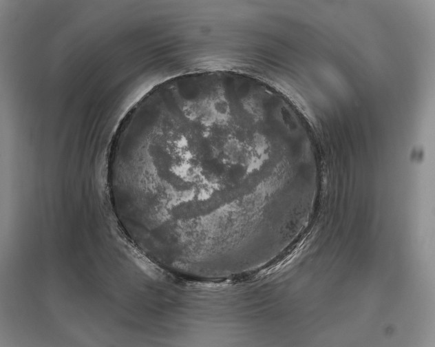 X0000097471023200802221231