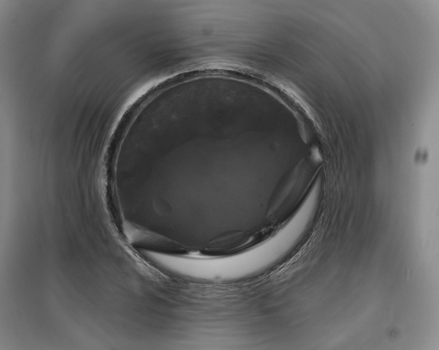 X0000097471024200802221231