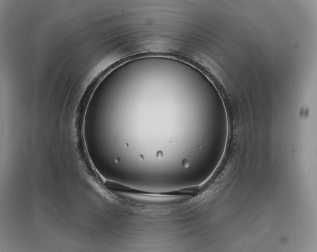 X0000097471026200802221231
