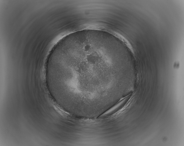 X0000097471027200802221231