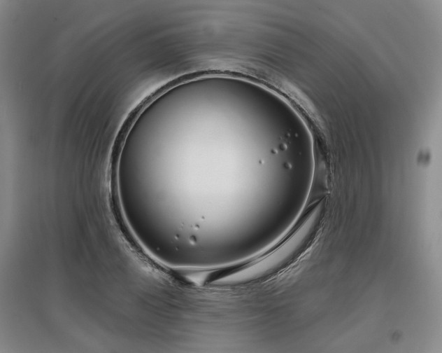 X0000097471028200802221231
