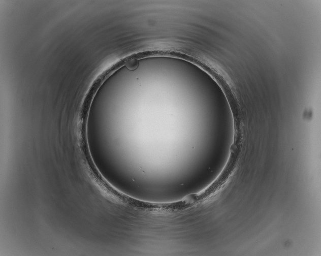 X0000097471029200802221231