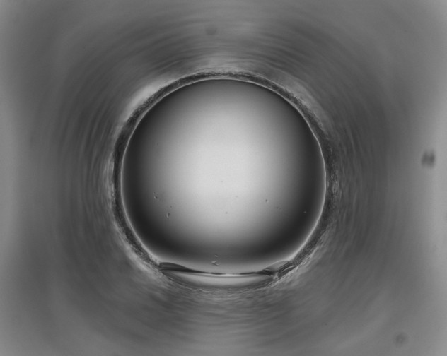 X0000097471030200802221231