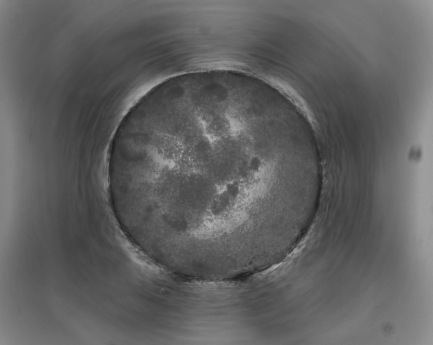 X0000097471031200802221231