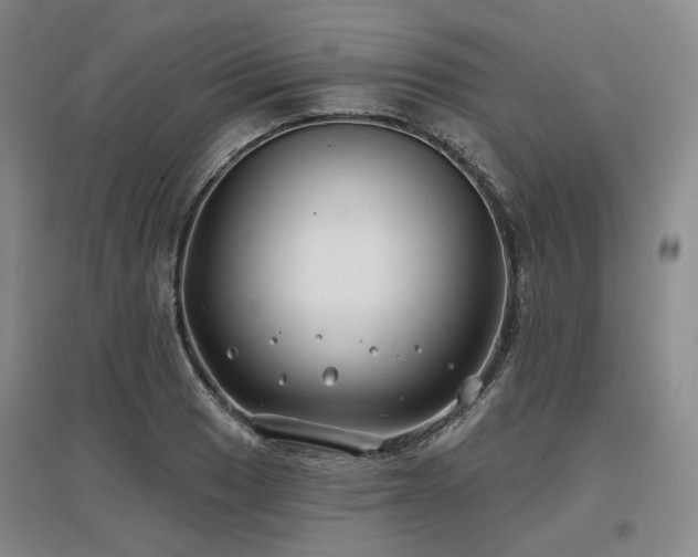 X0000097471033200802221231