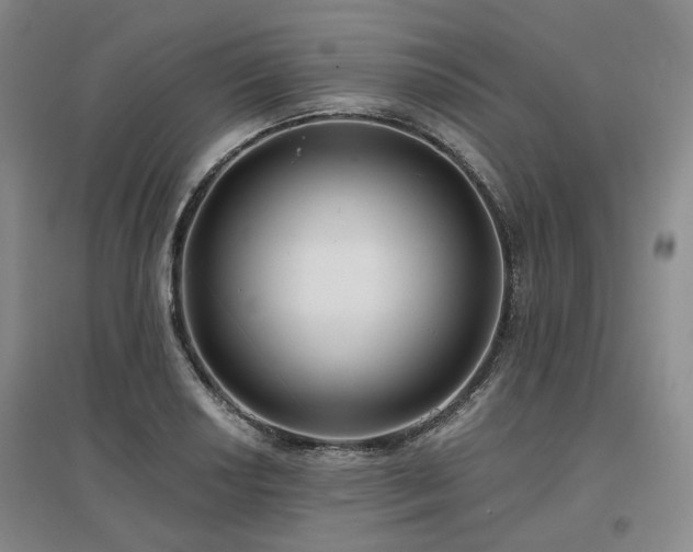 X0000097471034200802221231