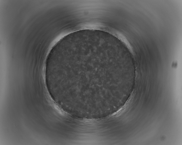 X0000097471035200802221231