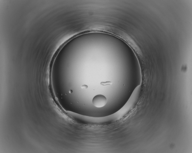 X0000097471036200802221231
