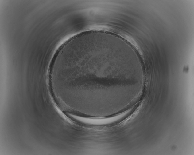 X0000097471037200802221231