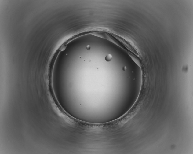 X0000097471038200802221231