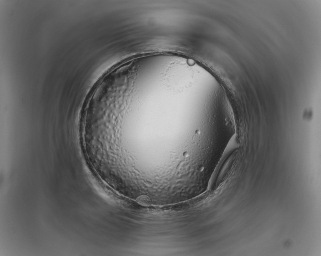 X0000097471039200802221231