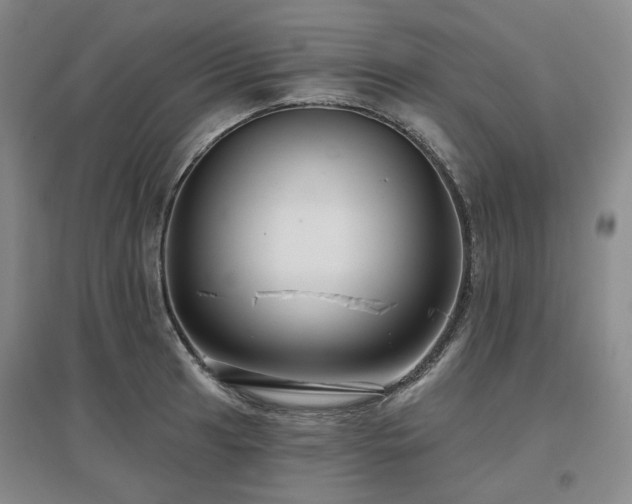 X0000097471041200802221231
