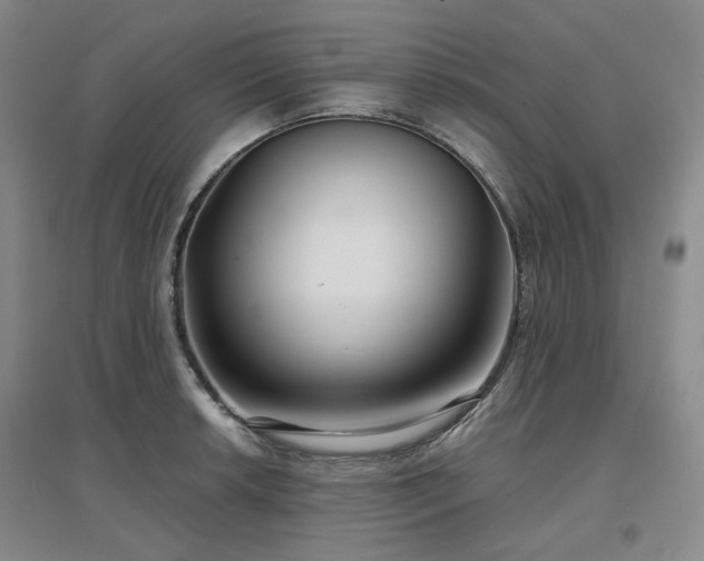 X0000097471042200802221231