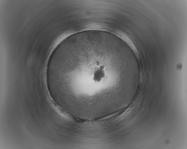 X0000097471043200802221231