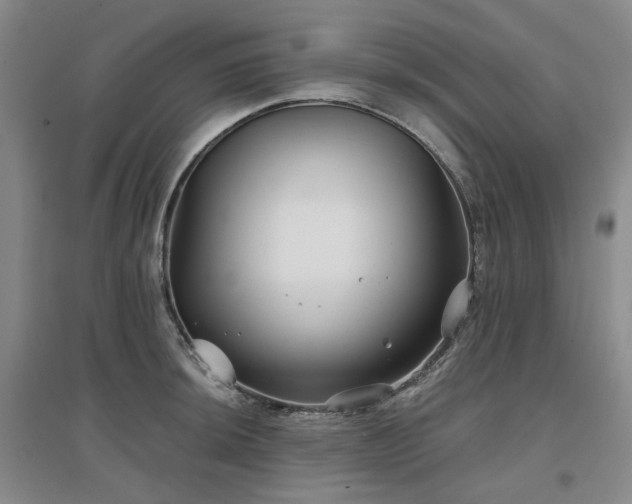 X0000097471044200802221231