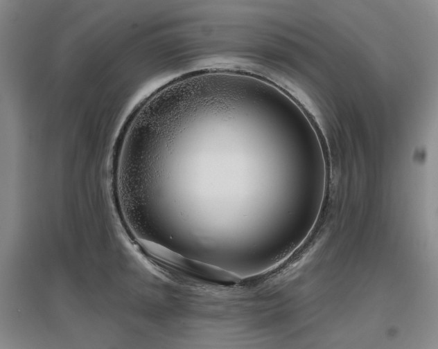 X0000097471045200802221231