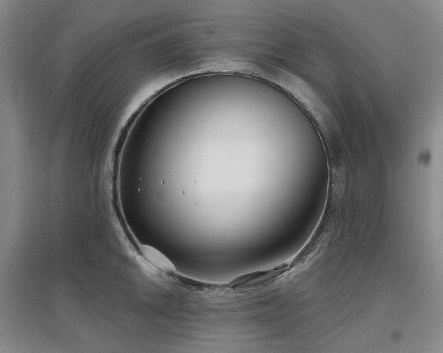 X0000097471046200802221231