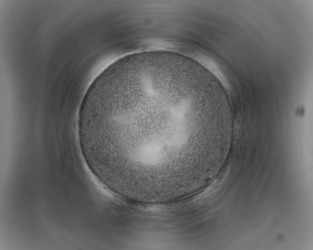 X0000097471047200802221231