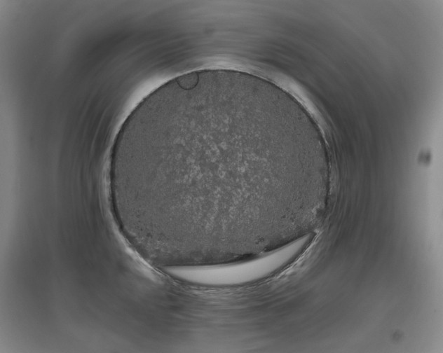 X0000097471048200802221231