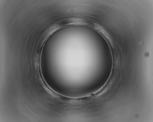 X0000097471049200802221231