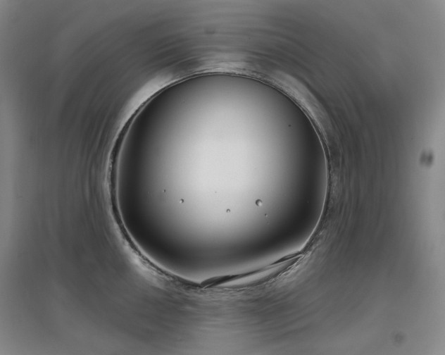 X0000097471050200802221231