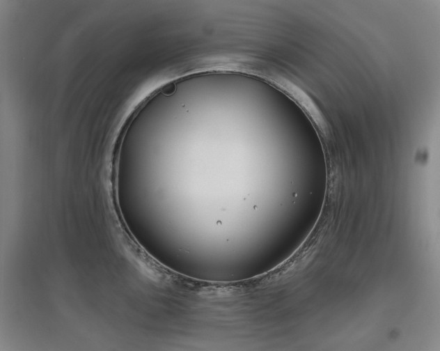 X0000097471051200802221231