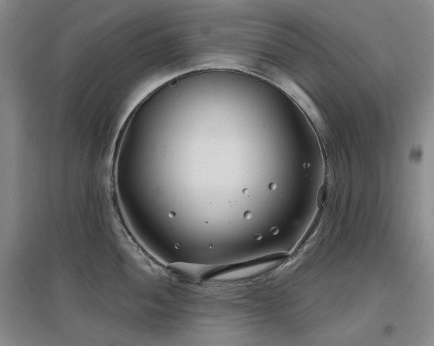 X0000097471052200802221231