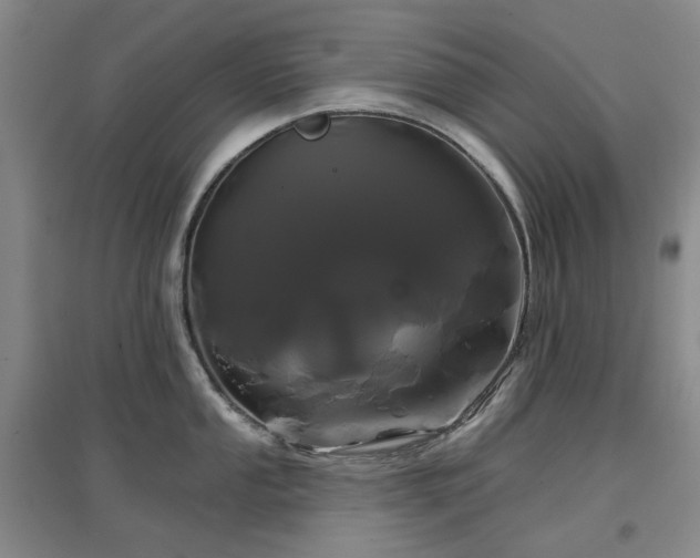 X0000097471053200802221231