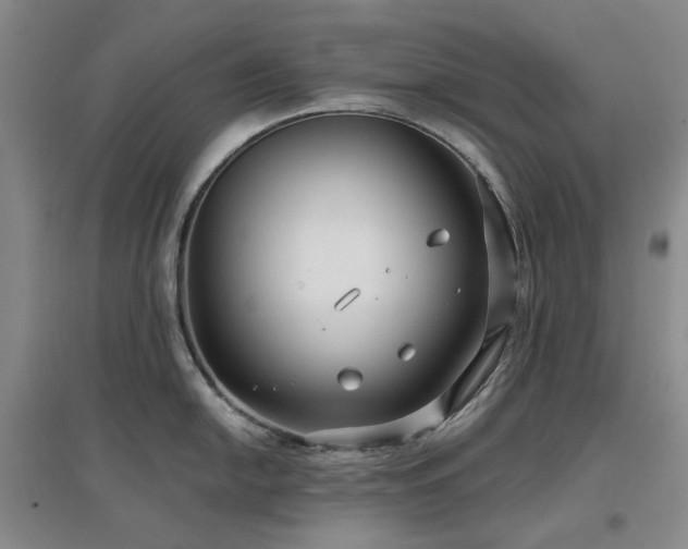 X0000097471054200802221231