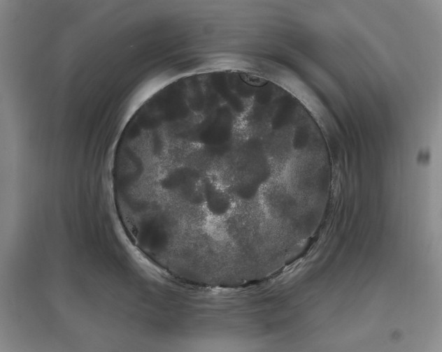 X0000097471055200802221231