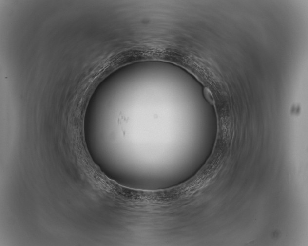 X0000097471057200802221231