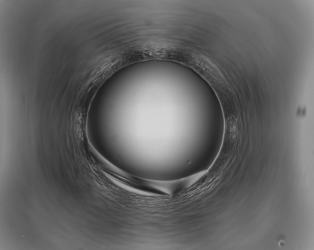 X0000097471060200802221231