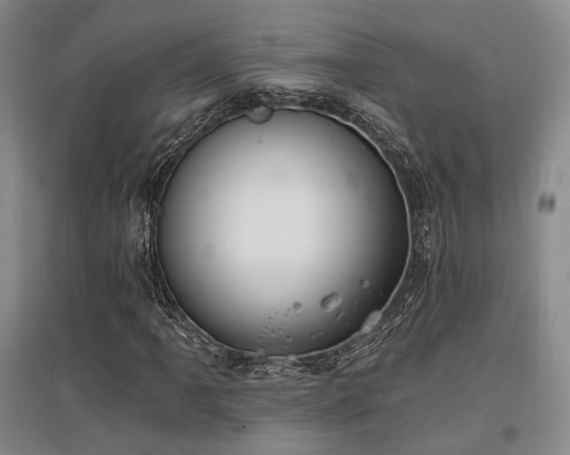 X0000097471061200802221231
