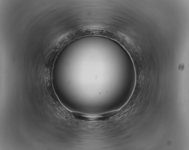 X0000097471062200802221230