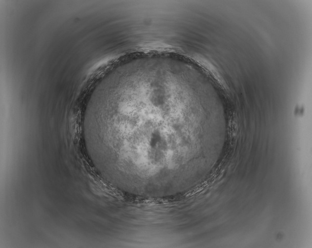 X0000097471063200802221230