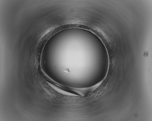 X0000097471064200802221230