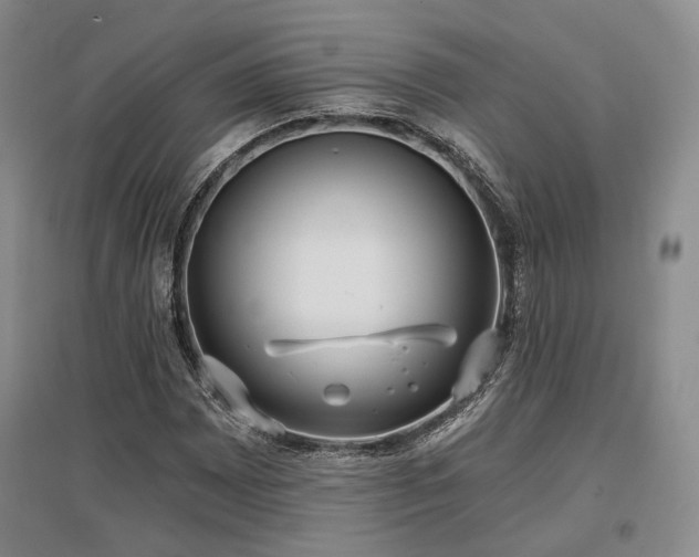X0000097471065200802221230