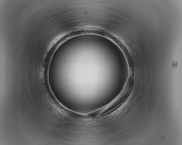 X0000097471066200802221230