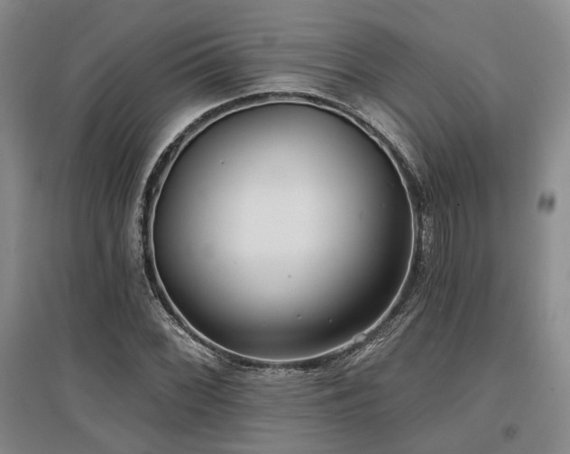X0000097471068200802221230