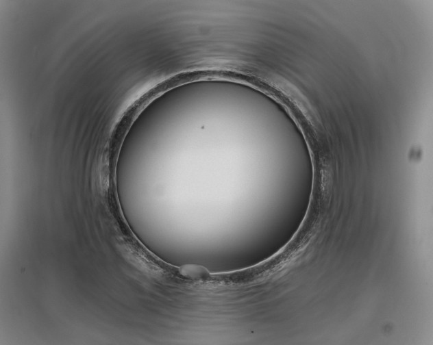 X0000097471069200802221230