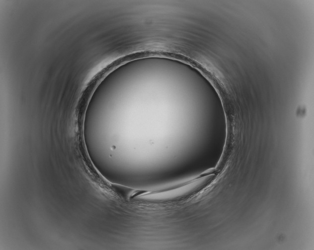 X0000097471070200802221230