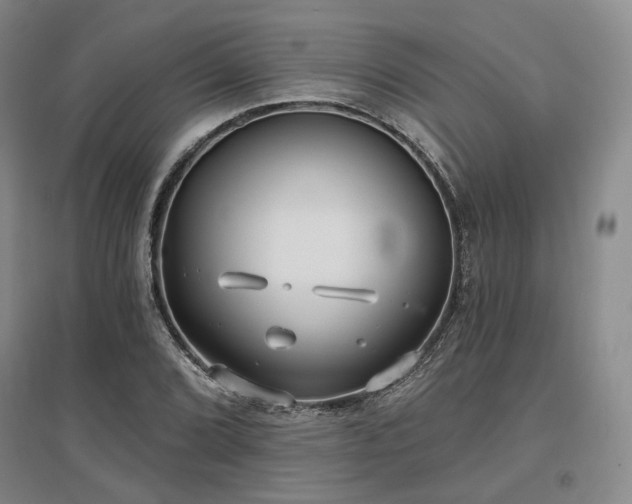 X0000097471072200802221230