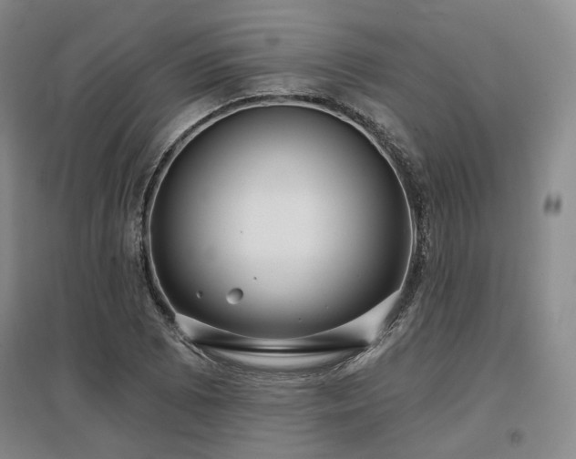 X0000097471073200802221230