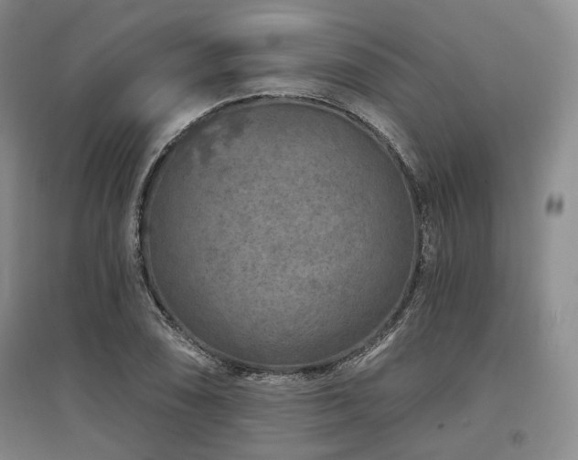 X0000097471074200802221230