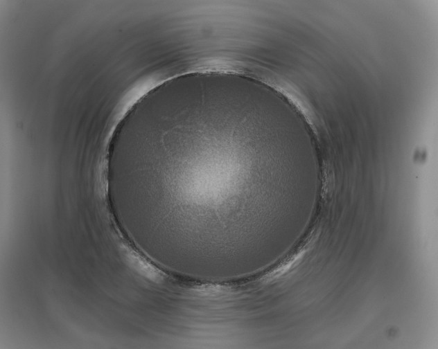 X0000097471075200802221230