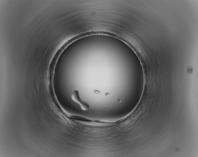 X0000097471076200802221230