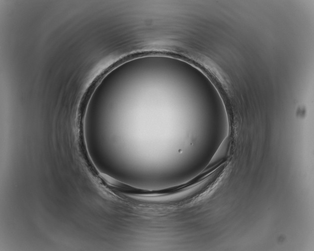 X0000097471077200802221230